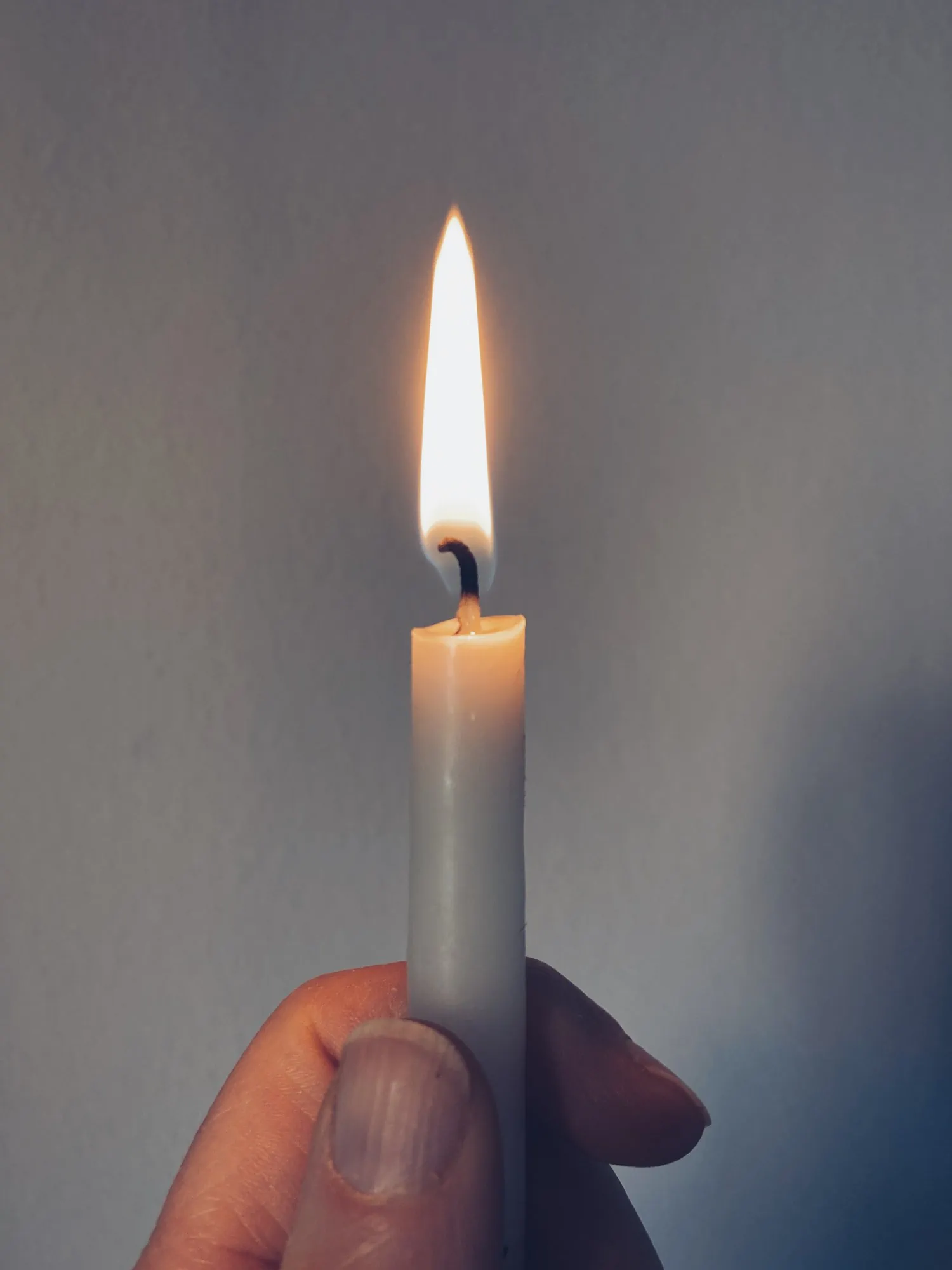 Vela Grande Tamarugal 4 Un X 24 Display