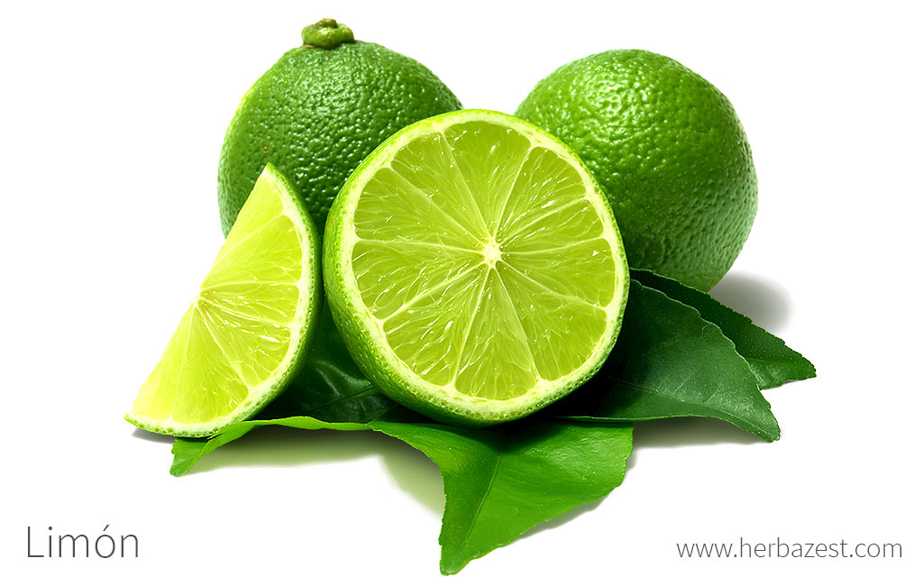 Limon Traverso 24 X 250 Cc